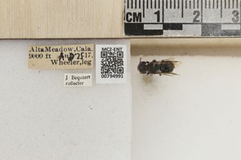 Media type: image;   Entomology 794991 Aspect: Labels